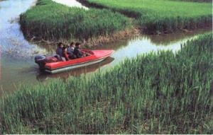 丹東鴨綠江口濱海濕地國家級自然保護區