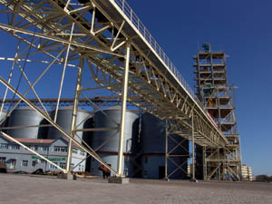 龍口港集團有限公司