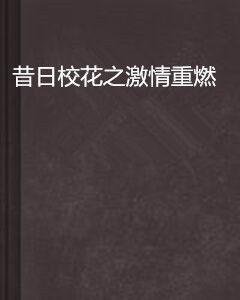 昔日校花之激情重燃