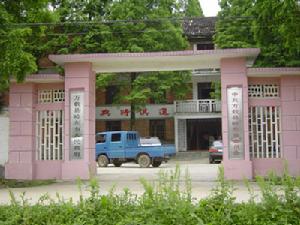 （圖）嶺東鄉政府