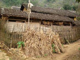 達浪自然村 達浪自然村