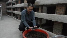 土元養殖技術 土元養殖技術