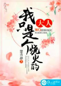 大人,我只是個燒火的 大人,我只是個燒火的