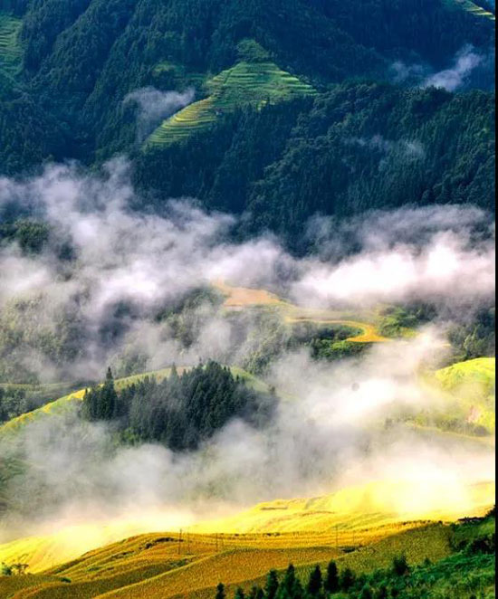 再過20天,貴州簡直要逼瘋攝影師!顏值嚴重被低估!