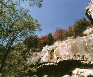 顏山公園 顏山公園
