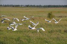 興安[中國內蒙古自治區地級行政區]