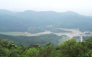 大嶺山森林公園 大嶺山森林公園