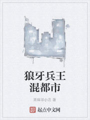 狼牙兵王混都市 狼牙兵王混都市