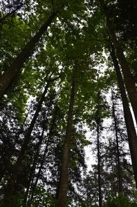 火爐坪學區 火爐坪學區