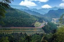 適地適樹 適地適樹