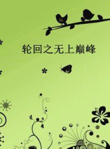 輪迴之無上巔峰 輪迴之無上巔峰