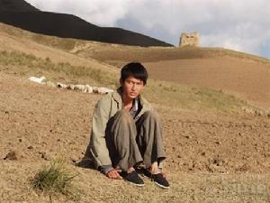 《紅色康拜因》