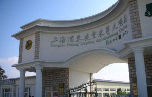 上海凌空農藝大觀園 上海凌空農藝大觀園