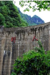 從野人到帝王 從野人到帝王