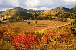 情哥哥回家鄉 情哥哥回家鄉