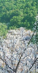 惠州市坪天嶂市級自然保護區 惠州市坪天嶂市級自然保護區