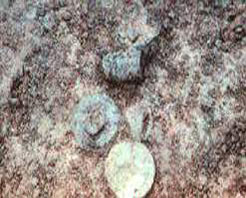 前七裏海北岸戰國—漢代古文化遺址 前七裏海北岸戰國—漢代古文化遺址