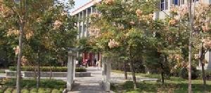 動物醫藥系 動物醫藥系