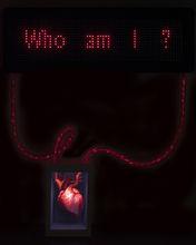 《意識的煩惱》尺寸可變  多媒體裝置  2017