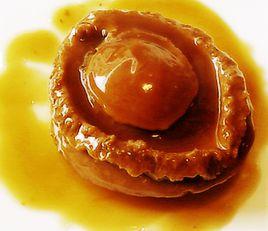 雙頭鮑魚 雙頭鮑魚