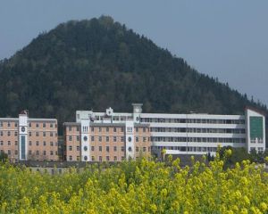 廬江縣金牛中學 廬江縣金牛中學