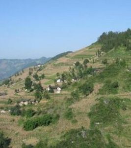 石筍自然村 石筍自然村