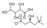 左旋肉鹼酒石酸鹽 左旋肉鹼酒石酸鹽