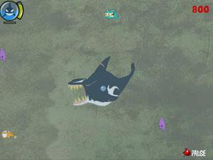 殺人鯨脫險 殺人鯨脫險