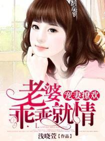 寵妻撩歡：老婆乖乖就情