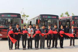 棗莊快速公交B10線 棗莊快速公交B10線