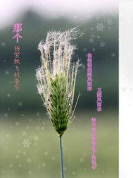 那個楊絮飄飛的季節