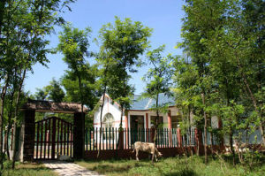 棗林觀光公園 棗林觀光公園