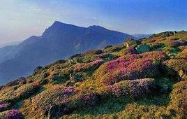 馬龍村[雲南宣威市文興鄉下轄村]