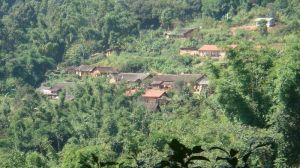 龍島老寨自然村