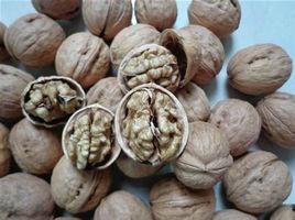 有機核桃 有機核桃