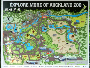 奧克蘭動物園 奧克蘭動物園