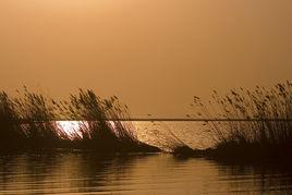 大港水庫 大港水庫