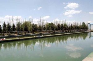 易溪垂釣 易溪垂釣