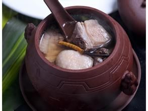 蟲草老鴨 蟲草老鴨