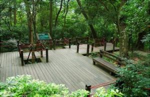 富陽自然生態公園 富陽自然生態公園