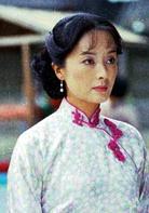 歷史的天空[2004年高希希執導電視劇]