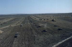 土城子城址 土城子城址