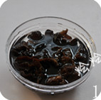 黃金滿地素雜錦 黃金滿地素雜錦