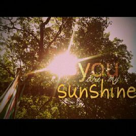 you are my sunshine[Jimmie Davis演唱歌曲]