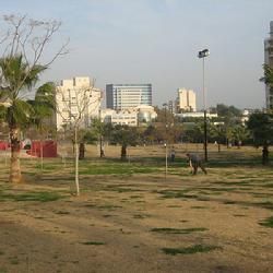 基利亞特阿挪 基利亞特阿挪