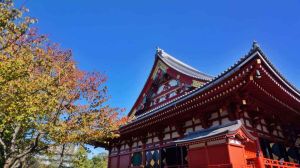 日本移民 日本移民