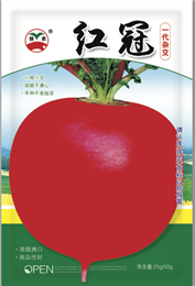 紅冠蘿蔔 紅冠蘿蔔