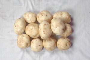 隆德馬鈴薯 隆德馬鈴薯