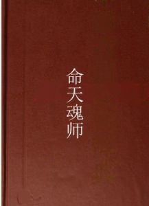 命天魂師