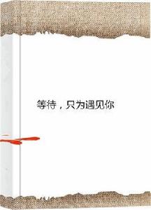等待,只為遇見你 等待,只為遇見你